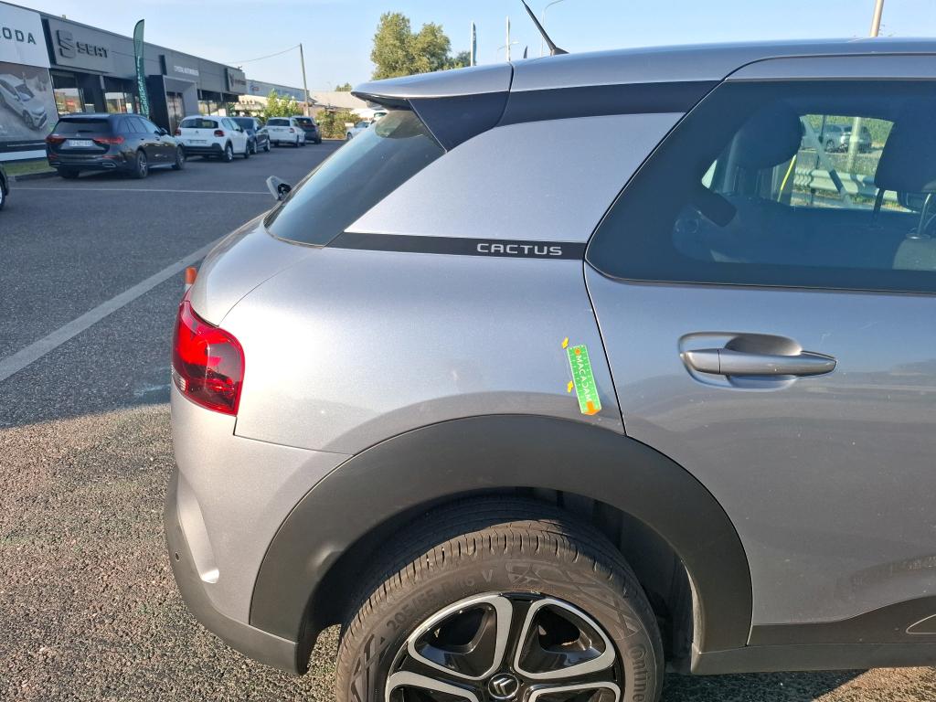 CITROEN C4 CACTUS BlueHDi 100 S&S BVM6 Feel Business 2020