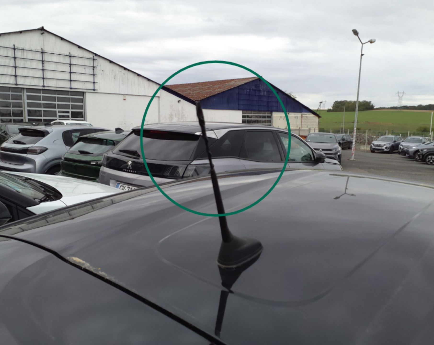 CITROEN C3 PureTech 83 BVM5 Plus 2024