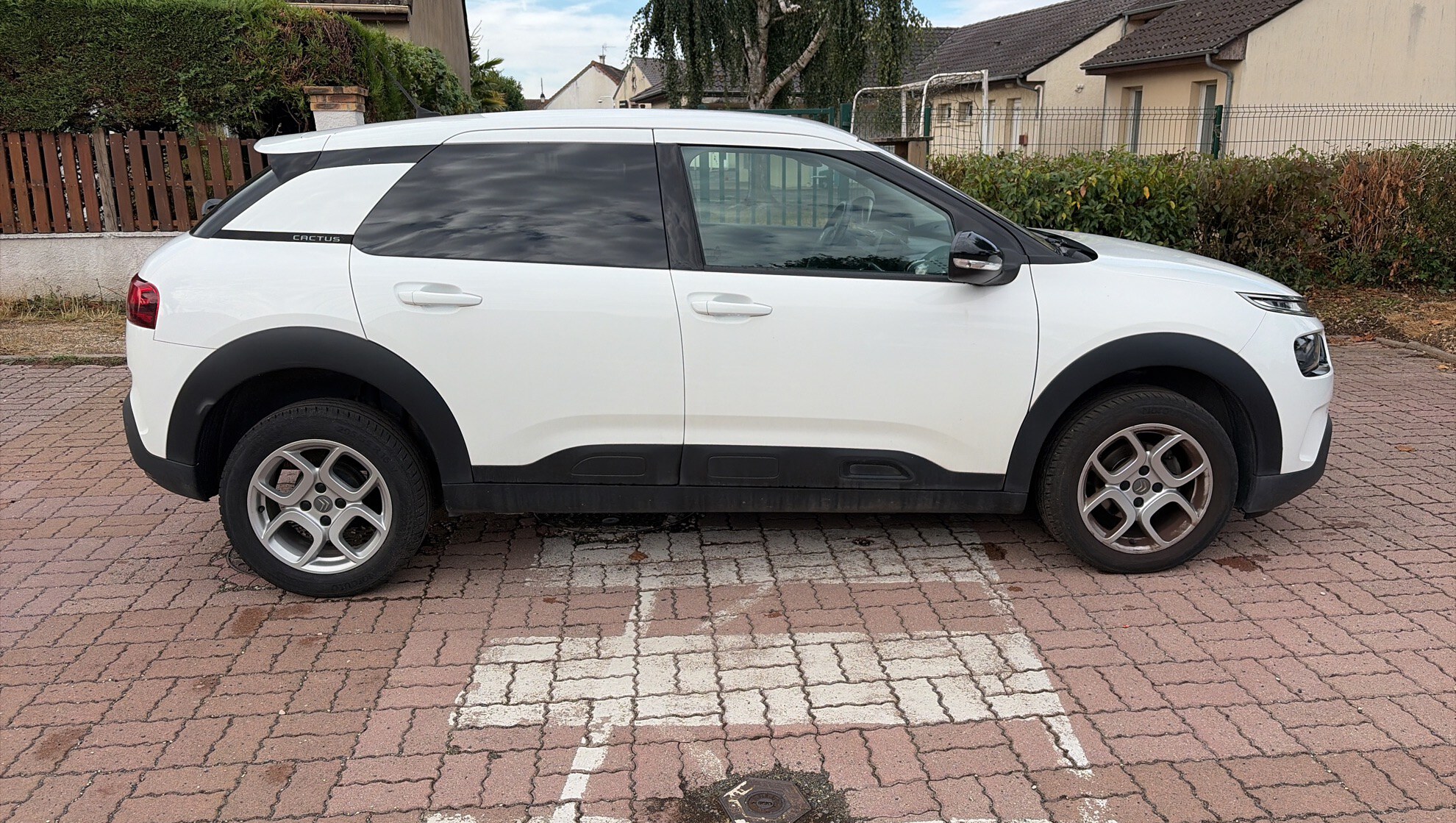 CITROEN C4 CACTUS PureTech 110 S&S BVM6 Shine 2020