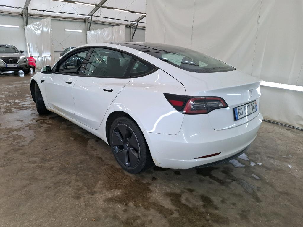 TESLA  2023