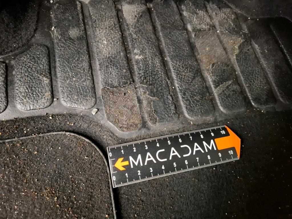 RENAULT SCENIC IV BUSINESS Blue dCi 120 2019
