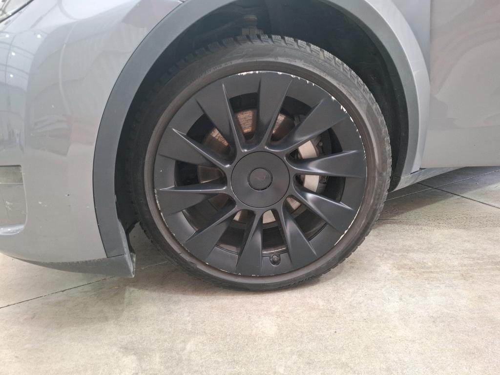 TESLA  2023