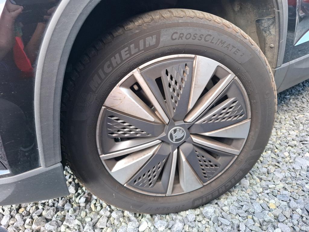 SKODA KAROQ 2.0 TDI 116 ch SCR DSG7 Business 2024