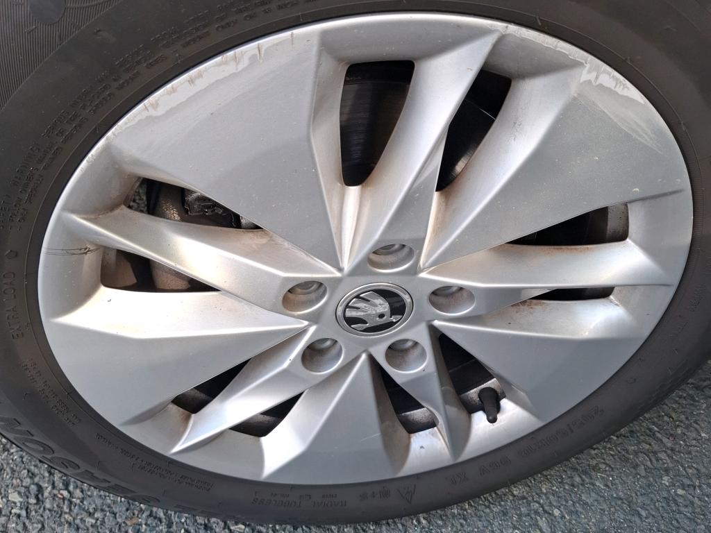 SKODA OCTAVIA 2.0 TDI 150 ch DSG7 Business 2023