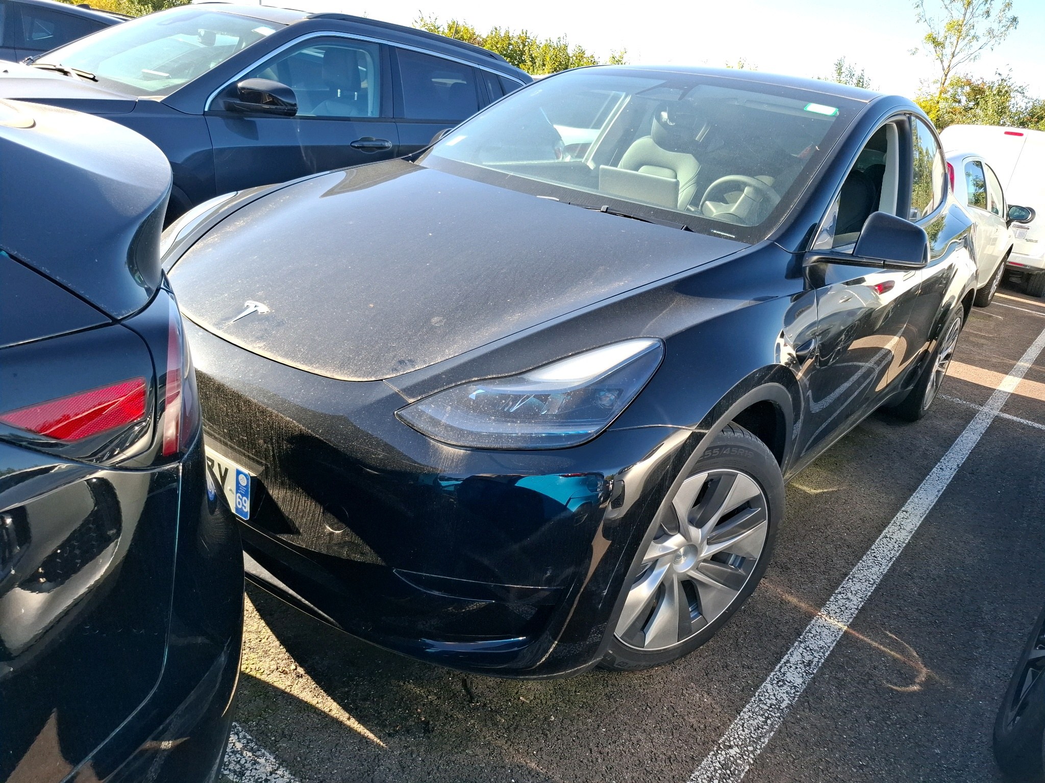 MODEL Y