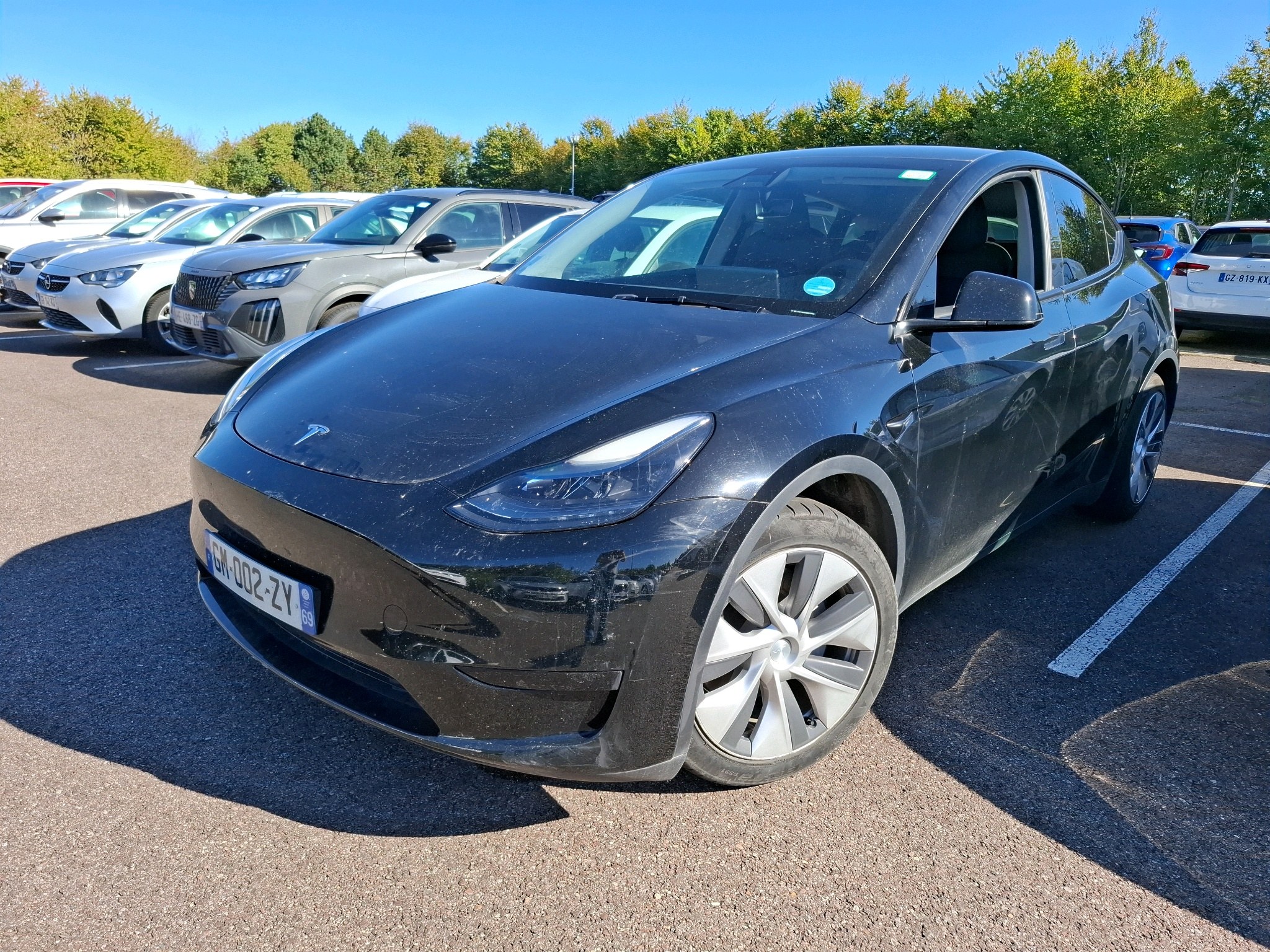 MODEL Y