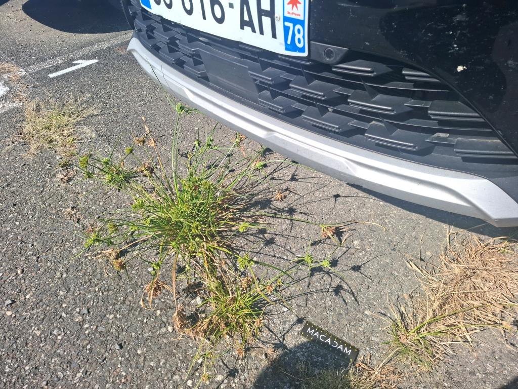 RENAULT CAPTUR TCe 90 - 21 Business 2022