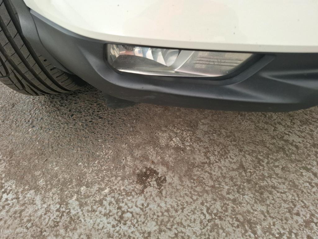NISSAN QASHQAI 2019 EVAPO 1.5 dCi 115 DCT Business Edition 2020