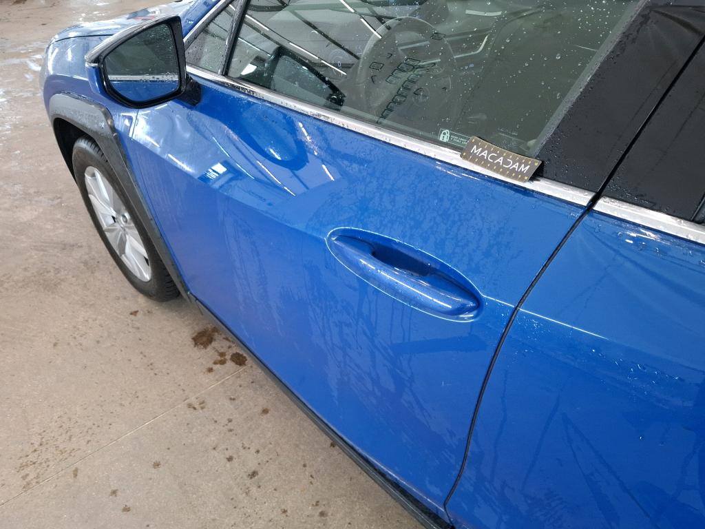 LEXUS  2020