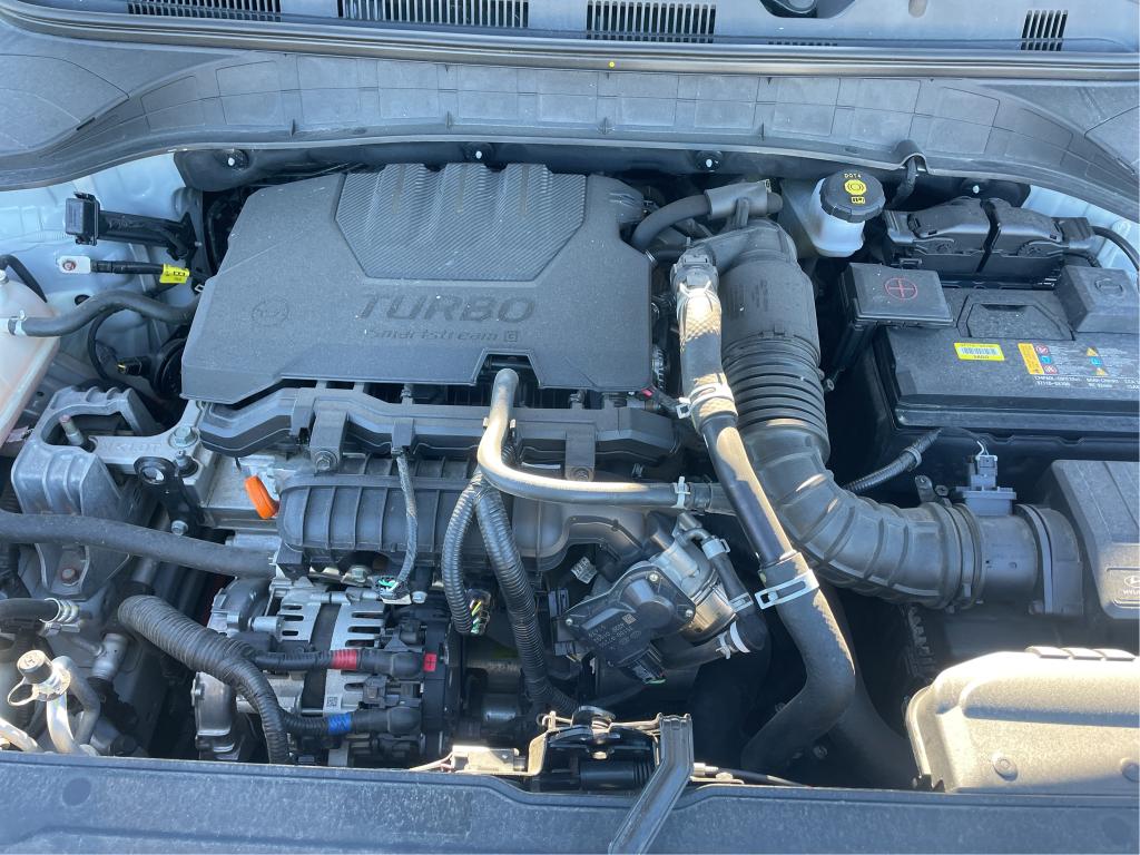HYUNDAI KONA 1.0 T-GDi 120 Hybrid 48V Business 2023