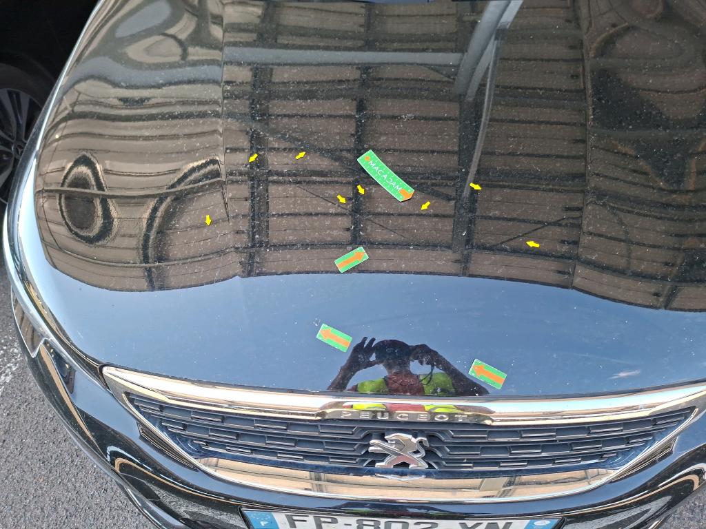 PEUGEOT 308 BUSINESS BlueHDi 130ch S&S EAT8 Allure 2020