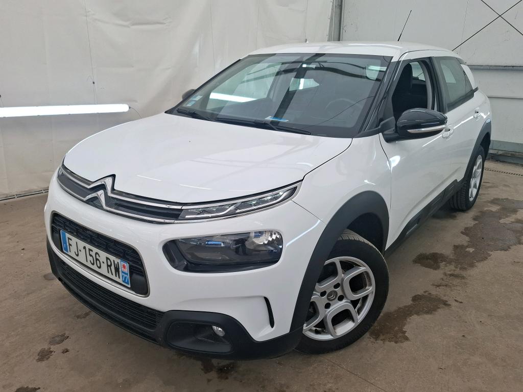 C4 CACTUS