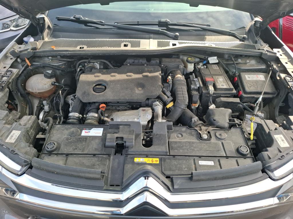 CITROEN C4 BlueHDi 110 S&S BVM6 Live Pack Business 2021