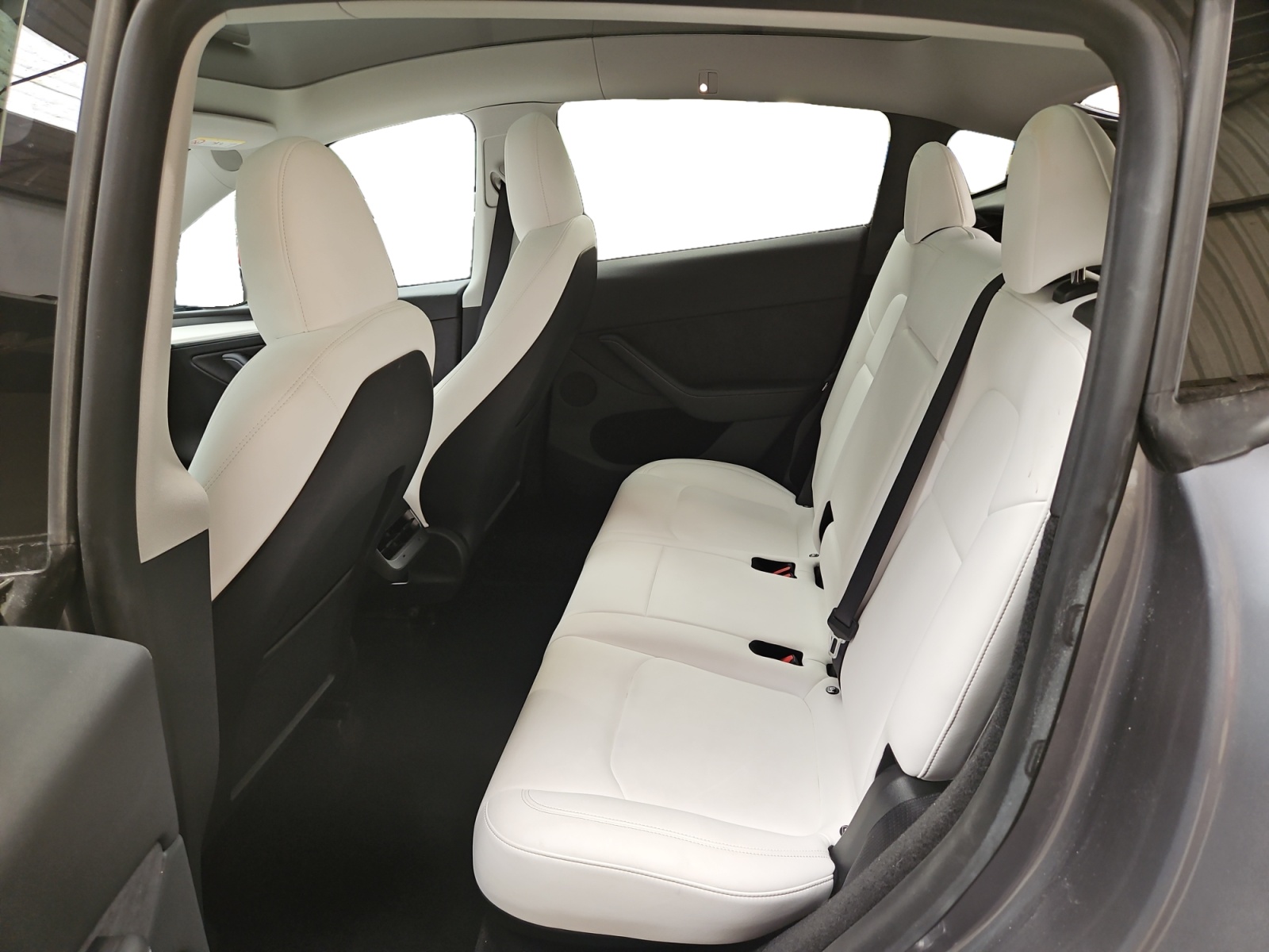 TESLA MODEL Y Standard RWD 2024