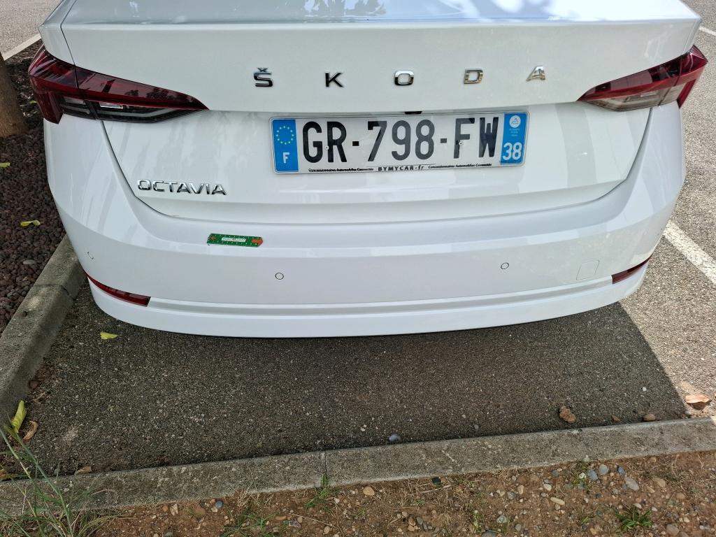 SKODA OCTAVIA 2.0 TDI 150 ch DSG7 Business 2023