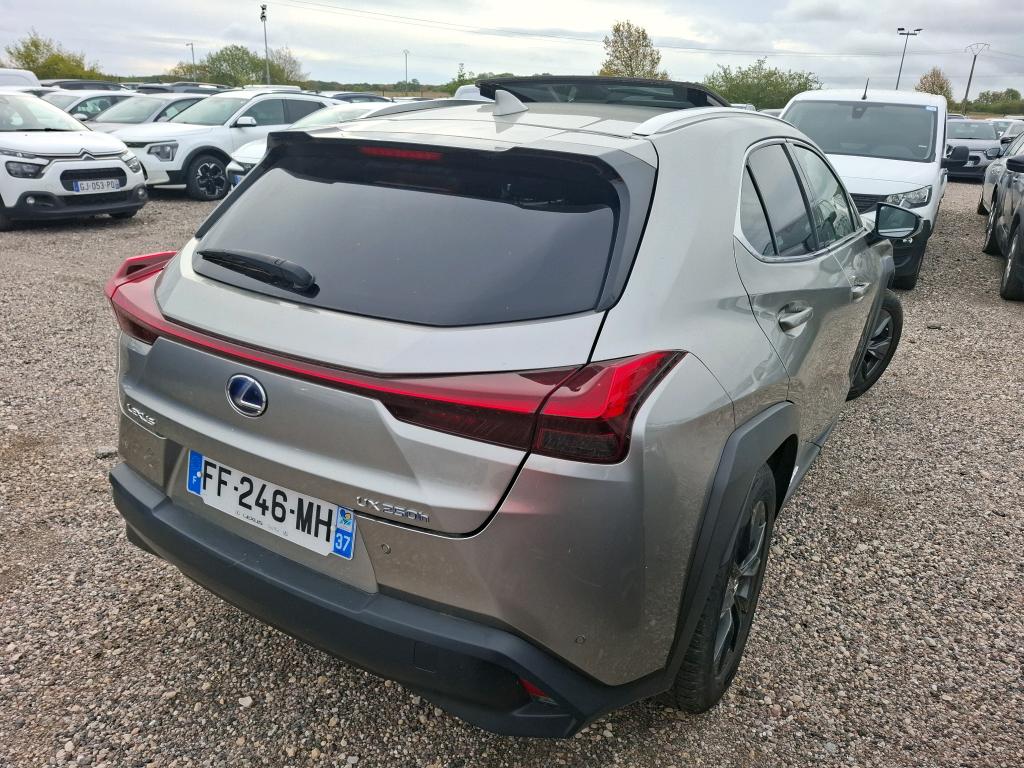 LEXUS  2019