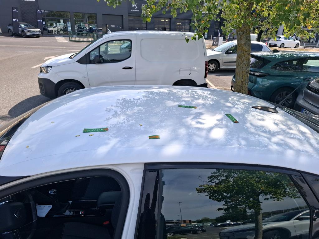 CITROEN C4 BlueHDi 110 S&S BVM6 Feel 2022