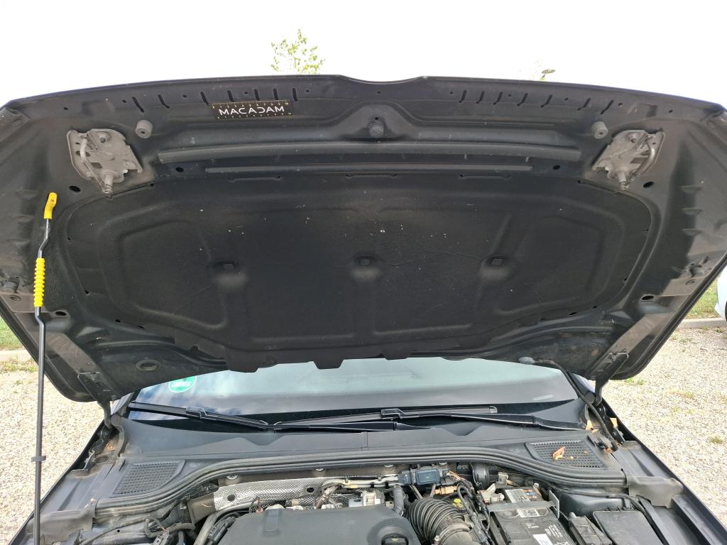 VOLKSWAGEN GOLF 2.0 TDI SCR 115 BVM6 Life Business 2021