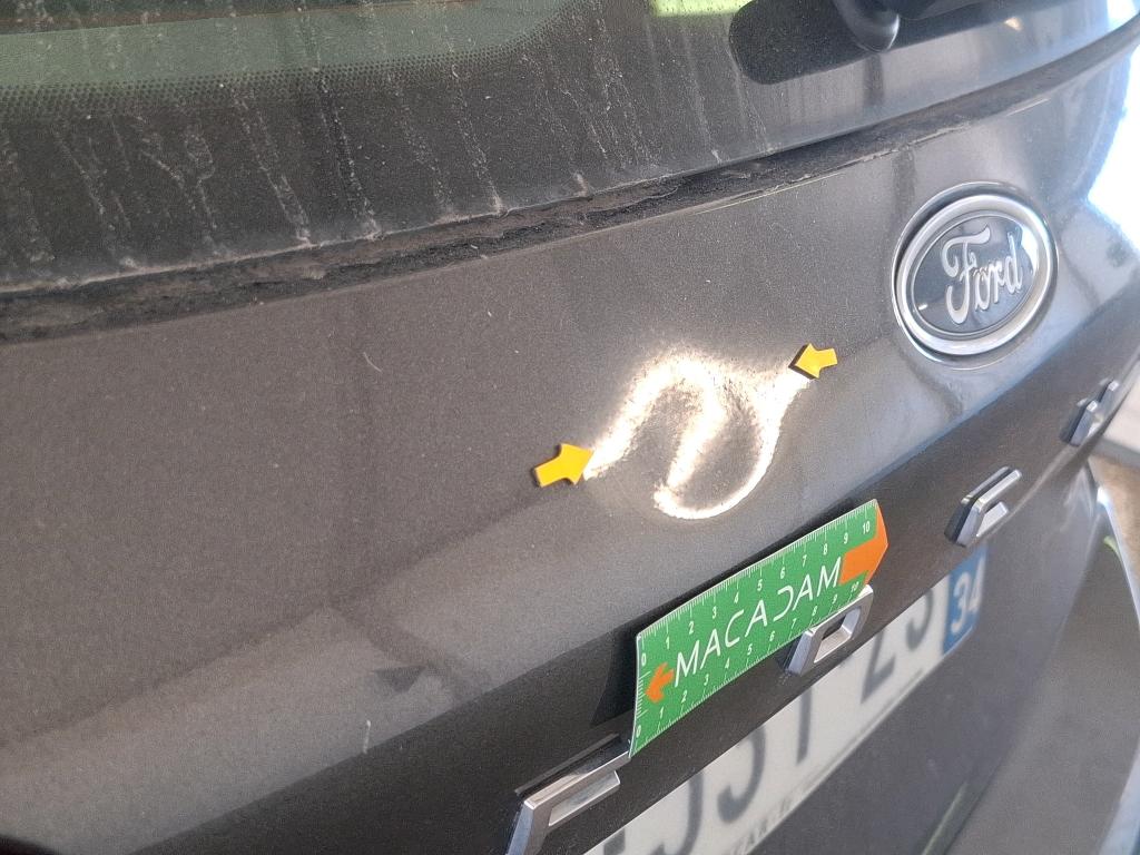 FORD FOCUS SW 1.5 EcoBlue 95 S&S Trend 2020