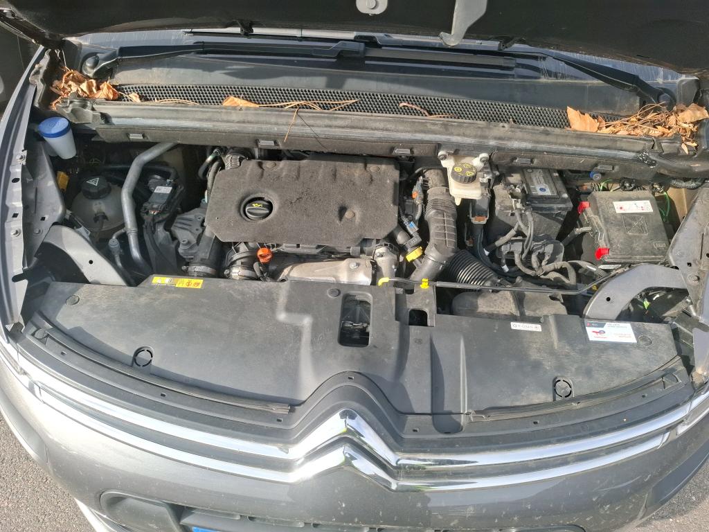 CITROEN C4 GRAND Spacetourer BlueHDi 130 S&S EAT8 Shine 2021