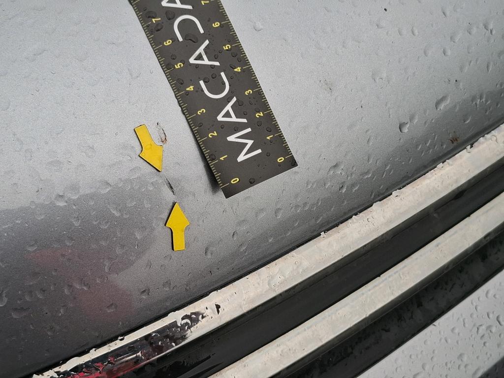 CITROEN C3 BlueHDi 100 S&S BVM5 Shine Business 2020