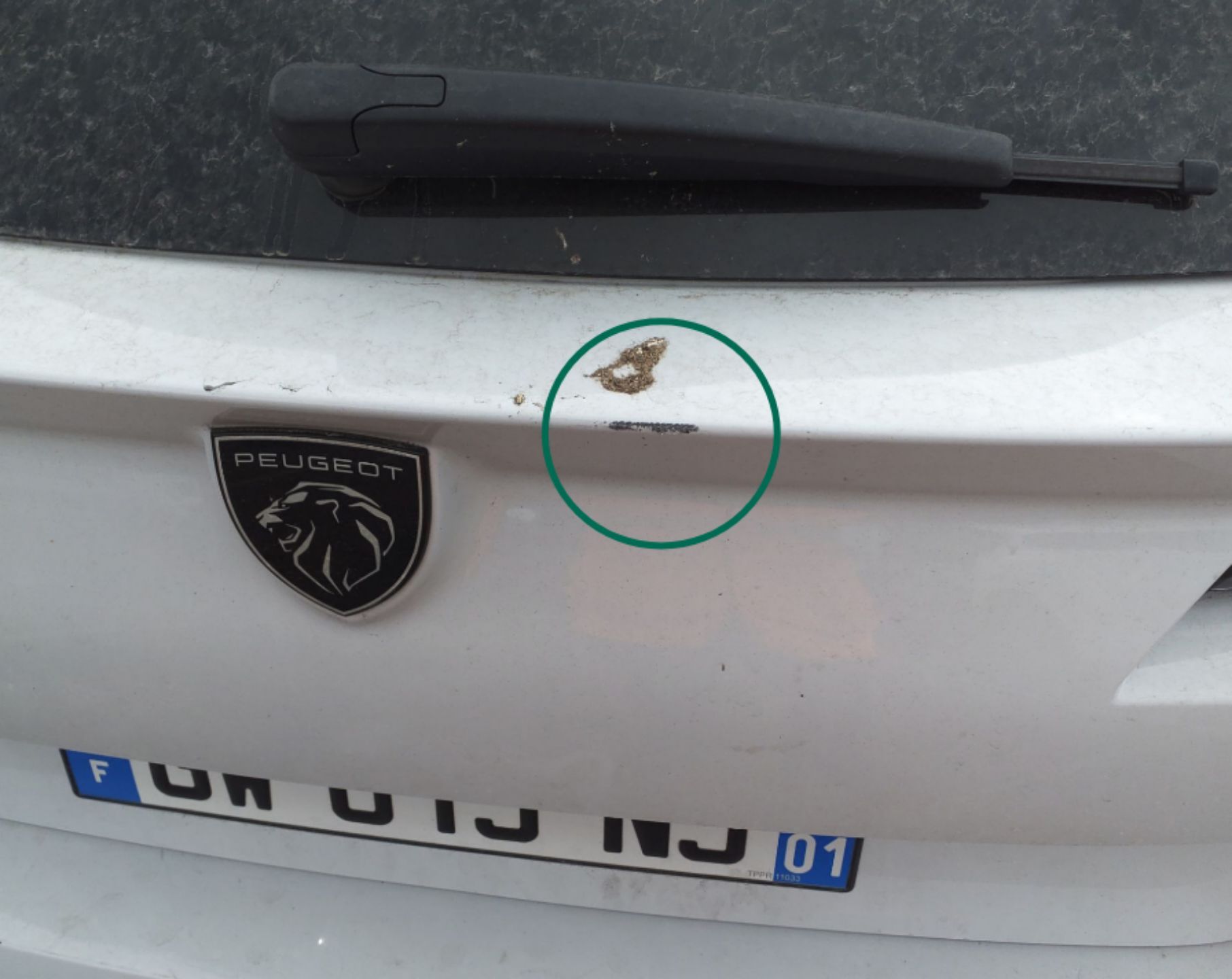 PEUGEOT 308 SW PureTech 130ch S&S EAT8 Allure 2024