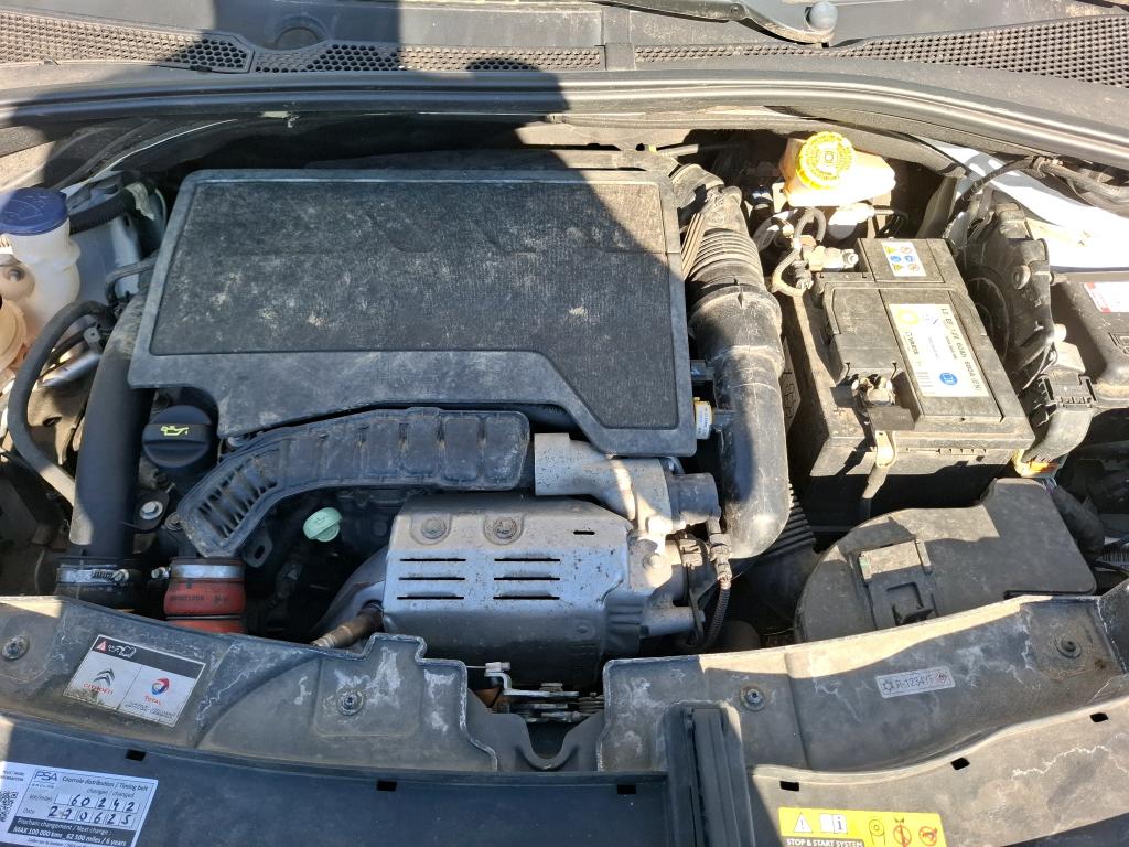 CITROEN C3 BUSINESS PureTech 110 S&S BVM6 Shine 2019