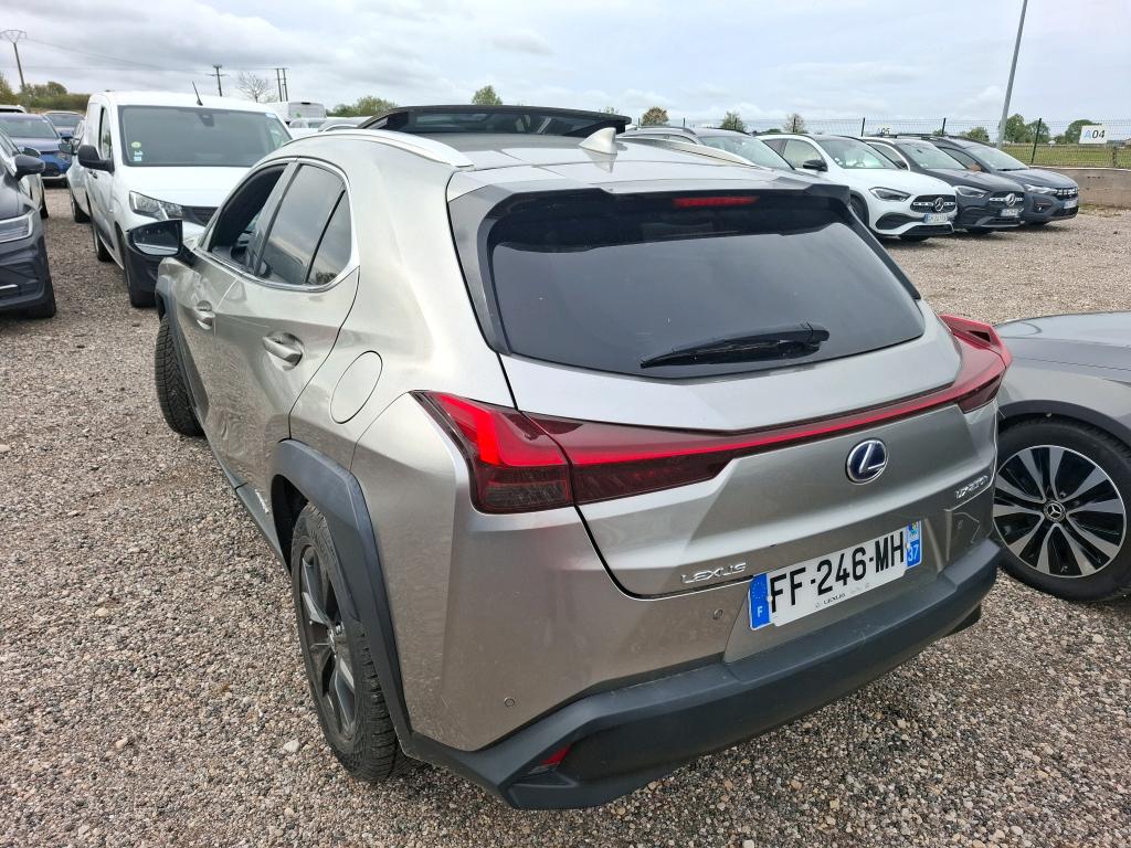 LEXUS  2019