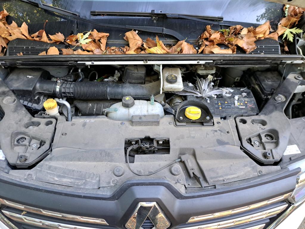 RENAULT TRAFIC FOURGON FGN L2H1 3000 KG BLUE DCI 130 GRAND CONFORT 2022
