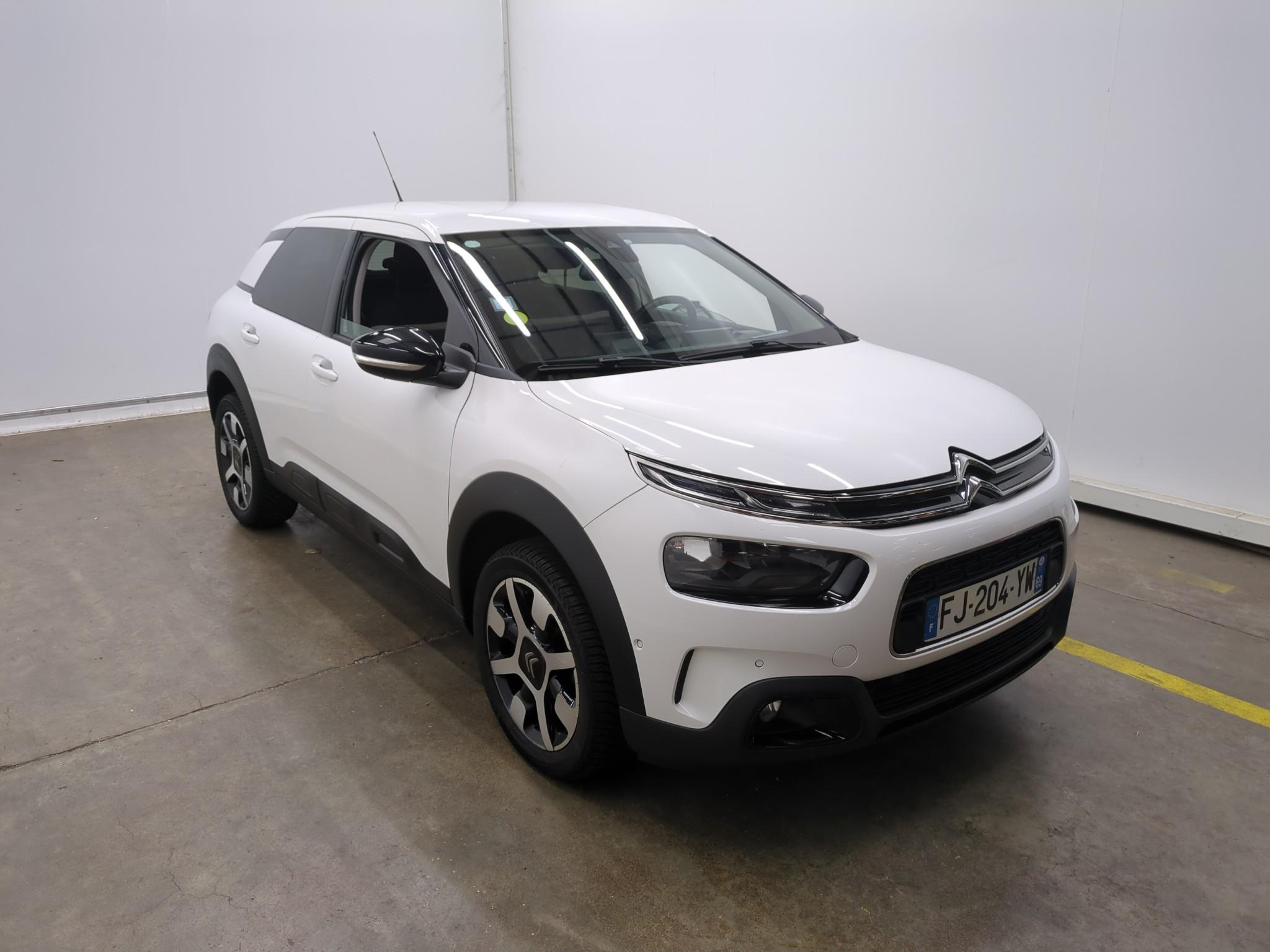 CITROEN C4 CACTUS BlueHDi 100 S&S BVM6 Shine Business 2019