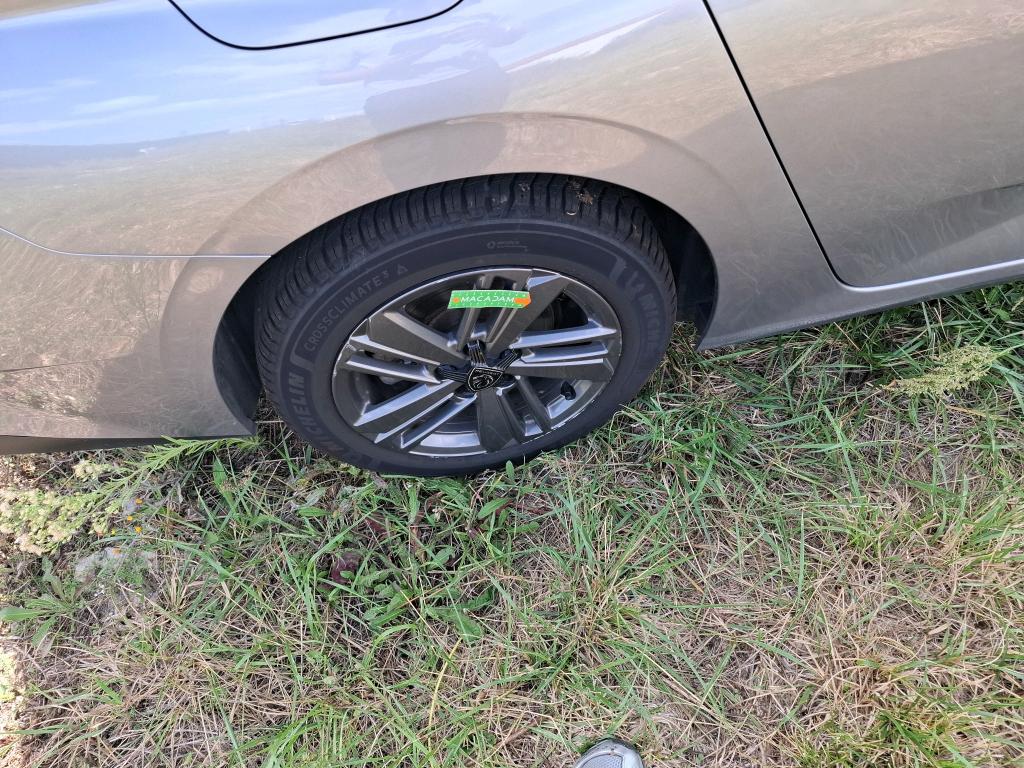 PEUGEOT 308 SW PureTech 130ch S&S EAT8 Active Pack 2023
