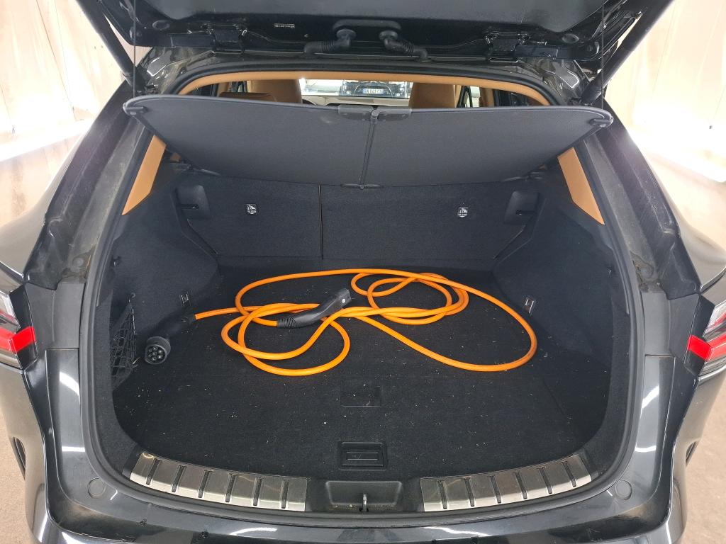 LEXUS  2023