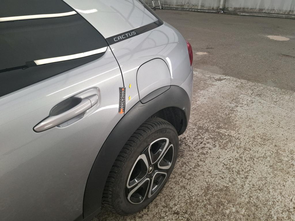 CITROEN C4 CACTUS BlueHDi 100 S&S BVM6 Feel Business 2020