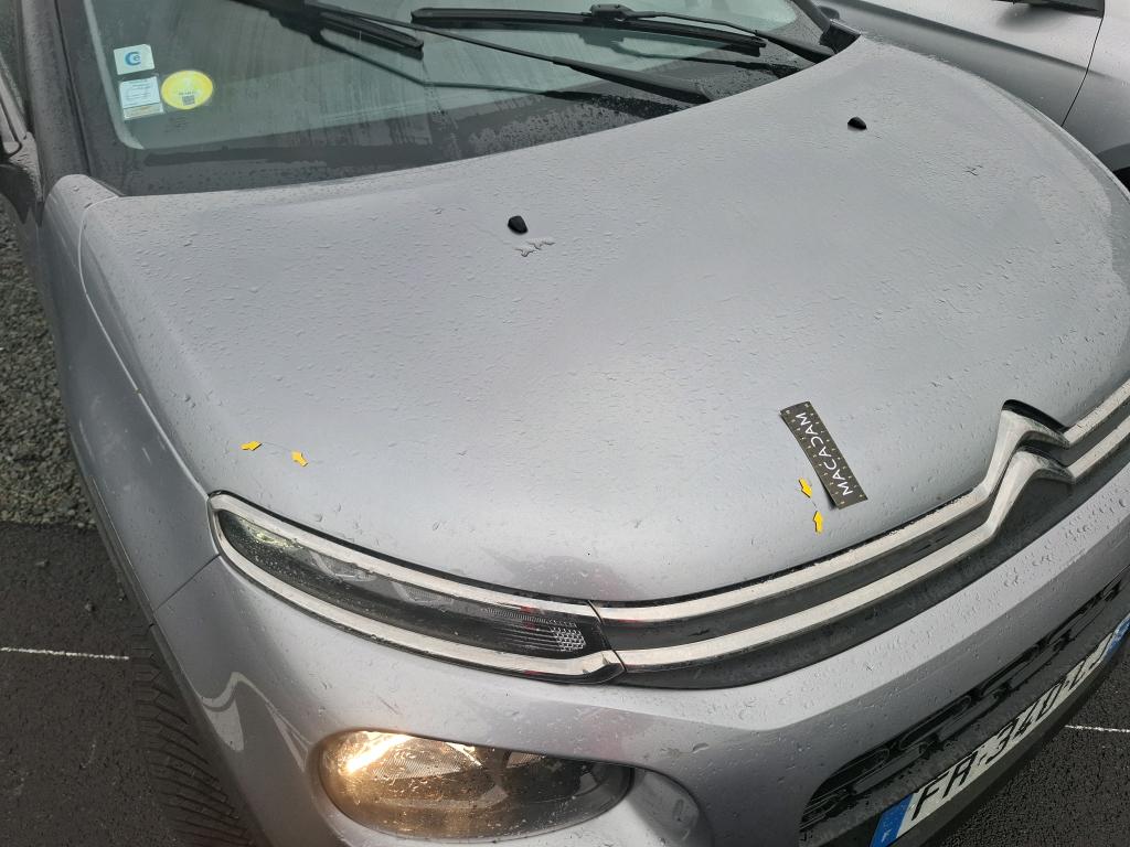 CITROEN C3 BlueHDi 100 S&S BVM5 Shine Business 2020
