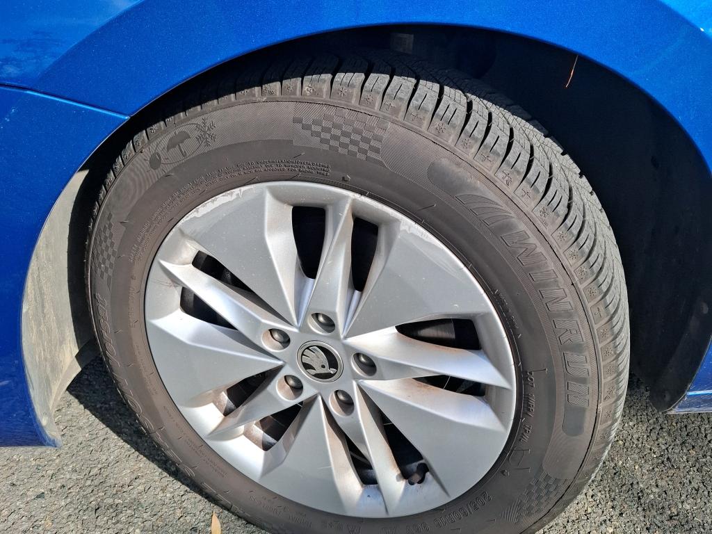SKODA OCTAVIA 2.0 TDI 150 ch DSG7 Business 2023