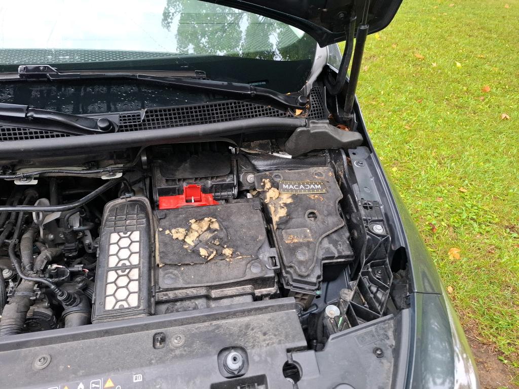 MERCEDES-BENZ MERCEDES CITAN FOURGON FGN 113 ESS LONG FIRST 2022