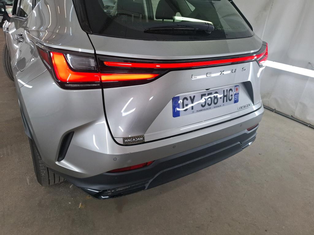 LEXUS  2024