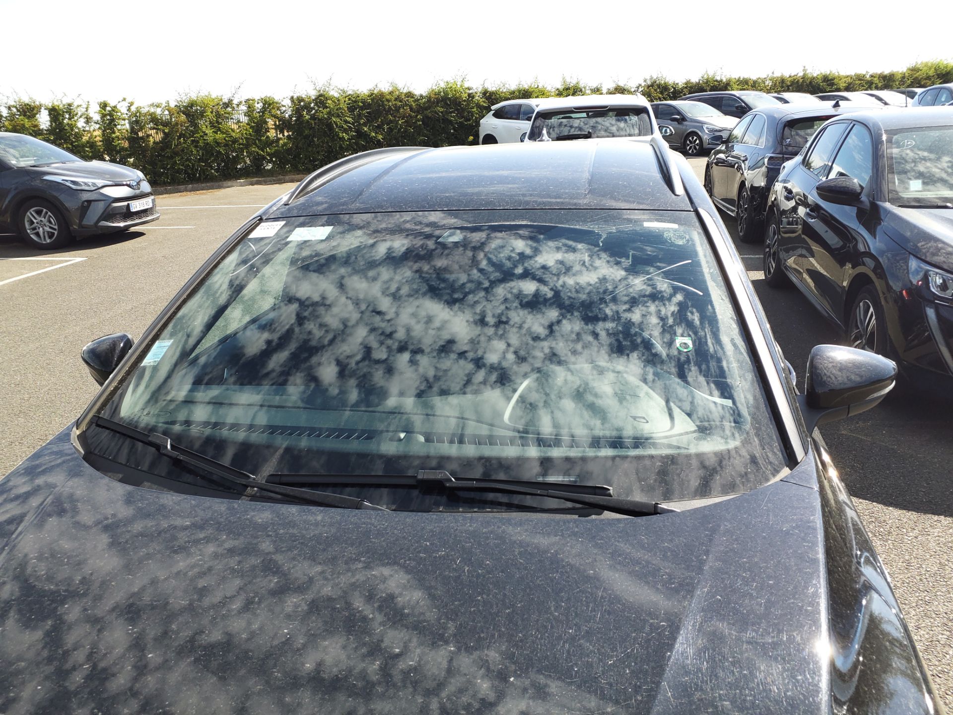 FORD FOCUS SW 1.0 EcoBoost 155 S&S mHEV Powershift ST-Line X 2025