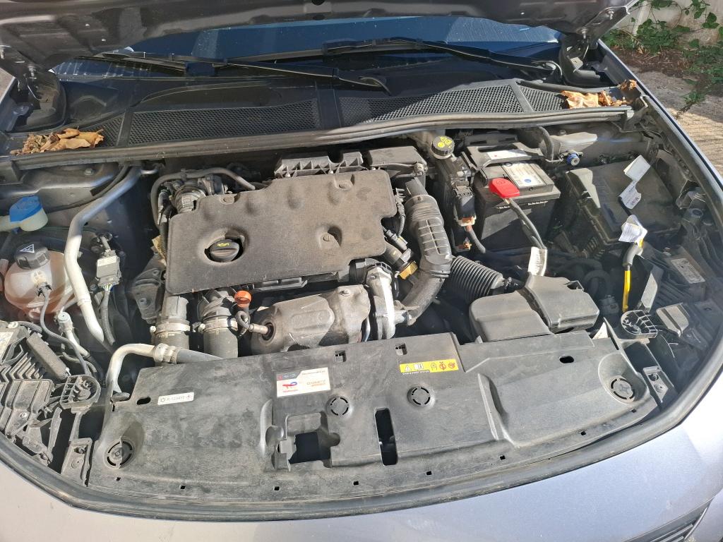 PEUGEOT 308 BlueHDi 130ch S&S EAT8 Active Pack 2024