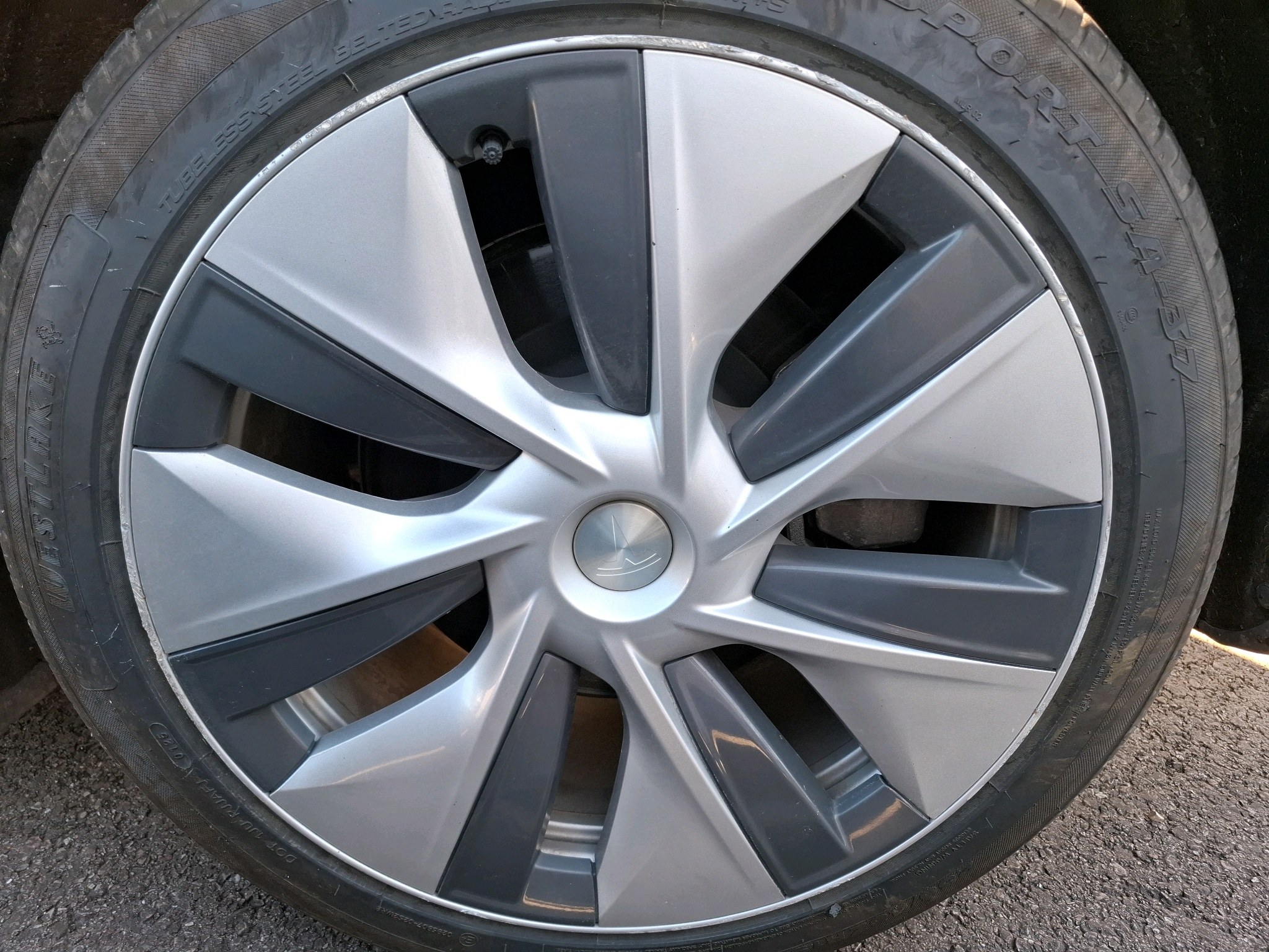 TESLA MODEL Y Standard RWD 2023