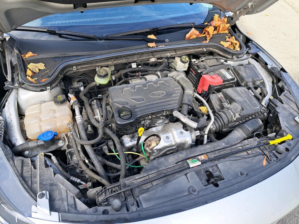 FORD FOCUS 1.5 EcoBlue 95 S&S Trend 2022