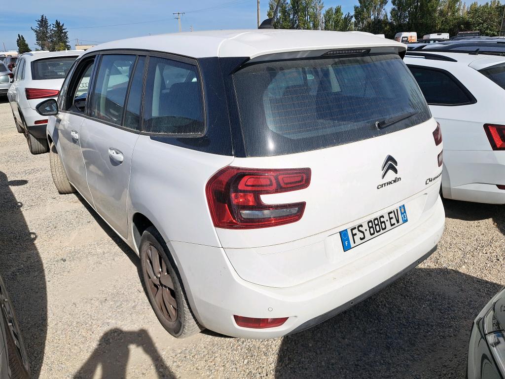 CITROEN C4 GRAND Spacetourer BlueHDi 130 S&S EAT8 Business 2020