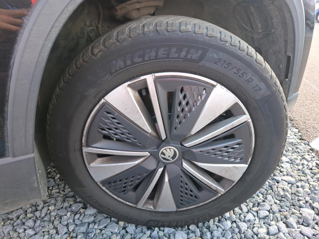 SKODA KAROQ 2.0 TDI 116 ch SCR DSG7 Business 2024