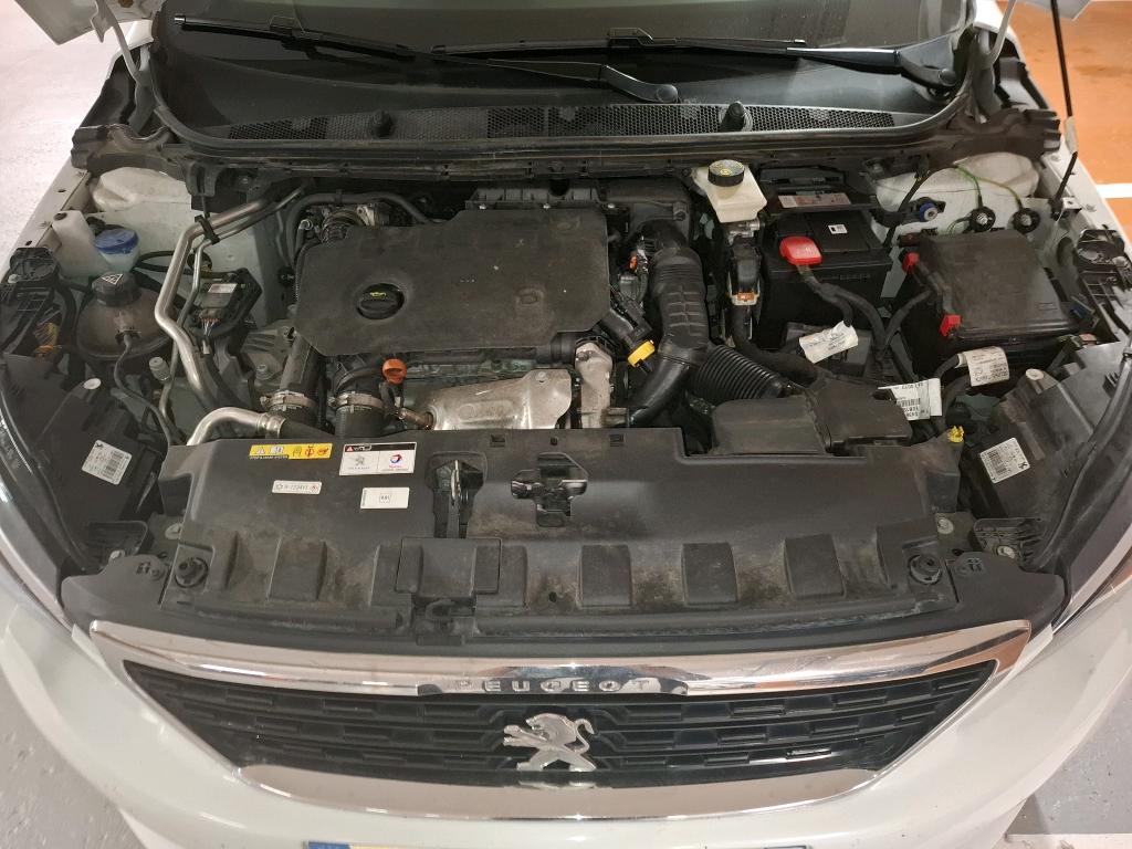 PEUGEOT 308 BUSINESS BlueHDi 130ch S&S EAT8 Active 2020
