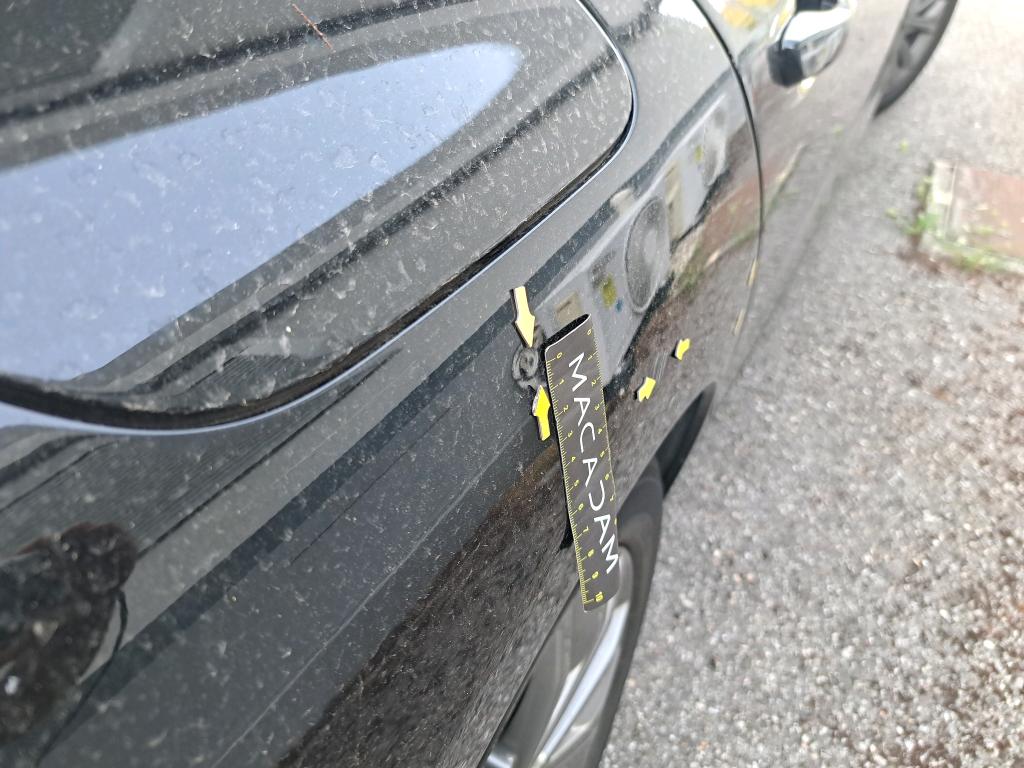 PEUGEOT 508 BUSINESS BlueHDi 130 ch S&S EAT8 Active 2020