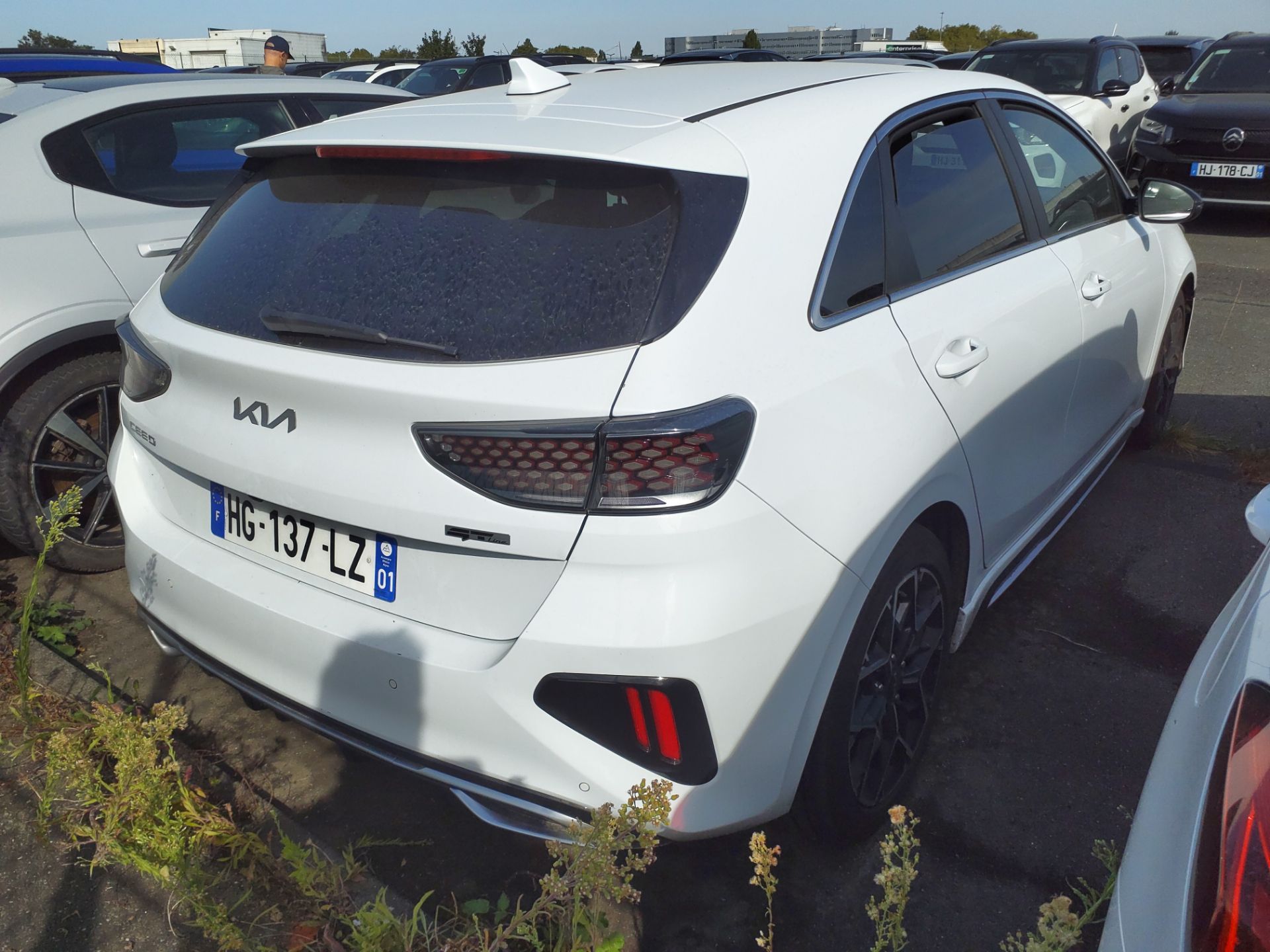 KIA CEED 1.5 T-GDi 140 ch DCT7 GT-line 2025