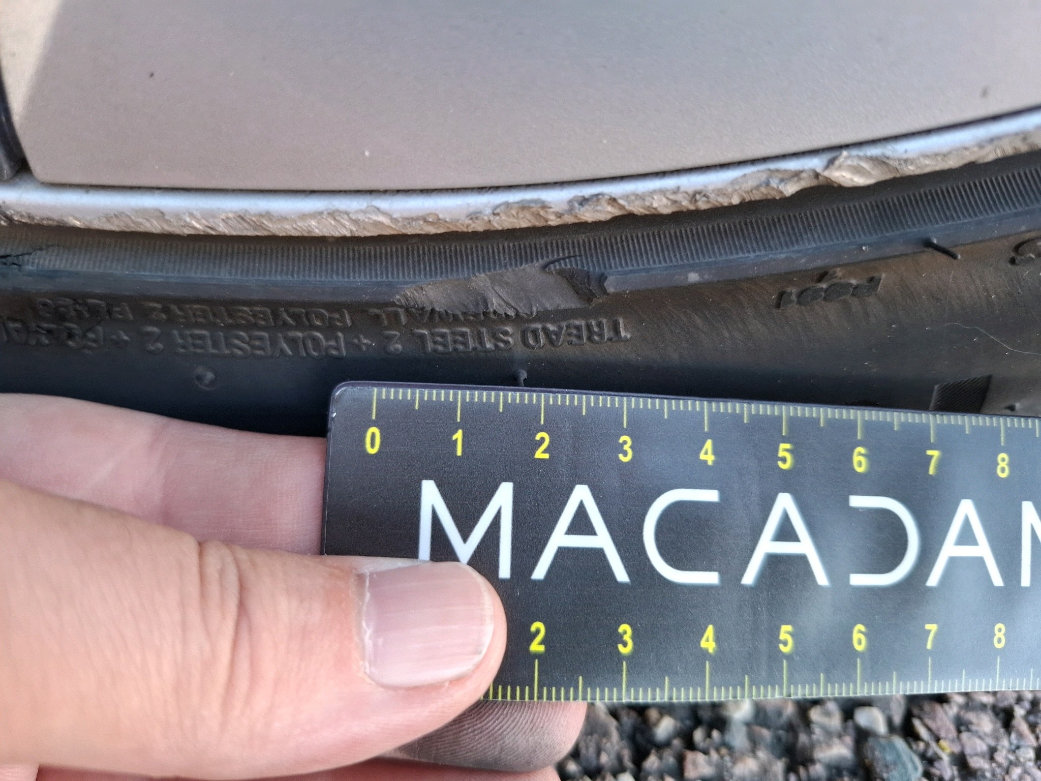 TESLA MODEL Y Standard RWD 2023