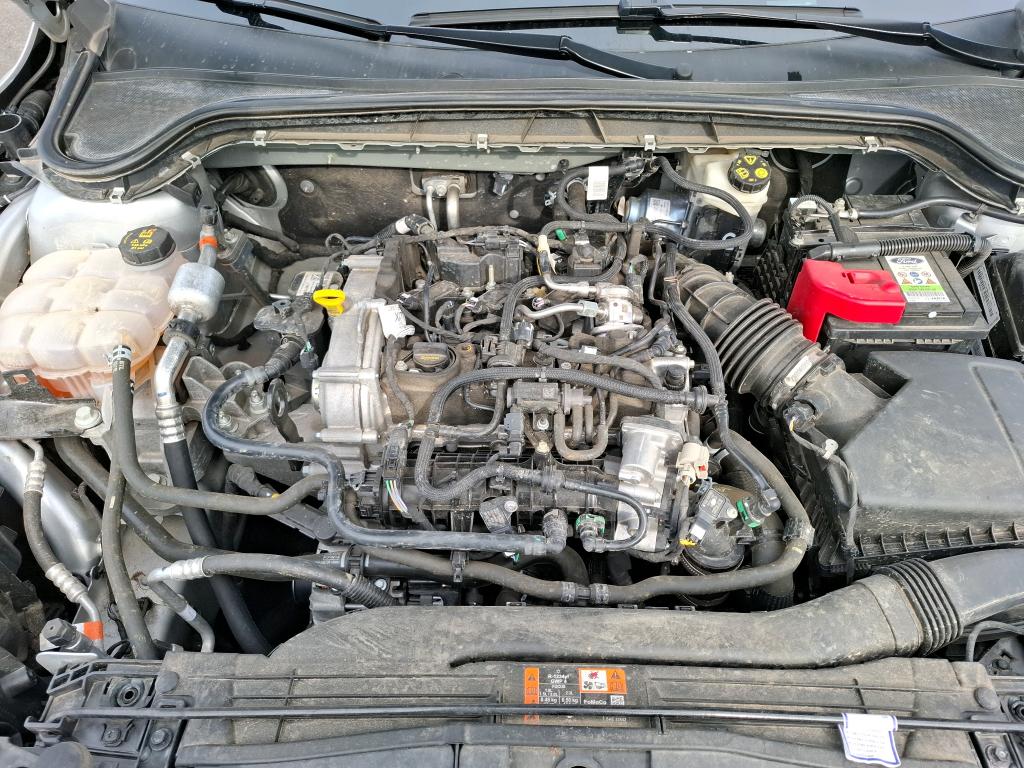 FORD FOCUS 1.0 EcoBoost 155 S&S mHEV Powershift ST-Line X 2024