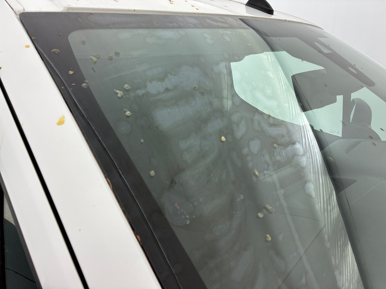 CITROEN BERLINGO VAN M 1000 BLUEHDI 100 S&S CLUB 2019