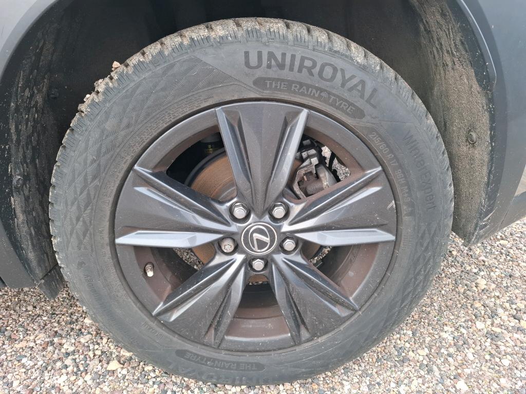 LEXUS  2019